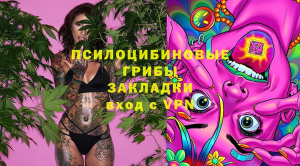 хмурый Киренск