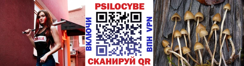 Псилоцибиновые грибы ЛСД  Бабаево 