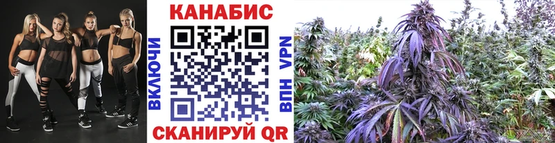 Канабис VHQ  Бабаево 